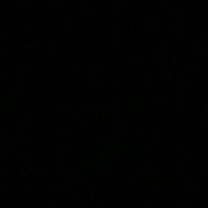 Trade with bhubbles00